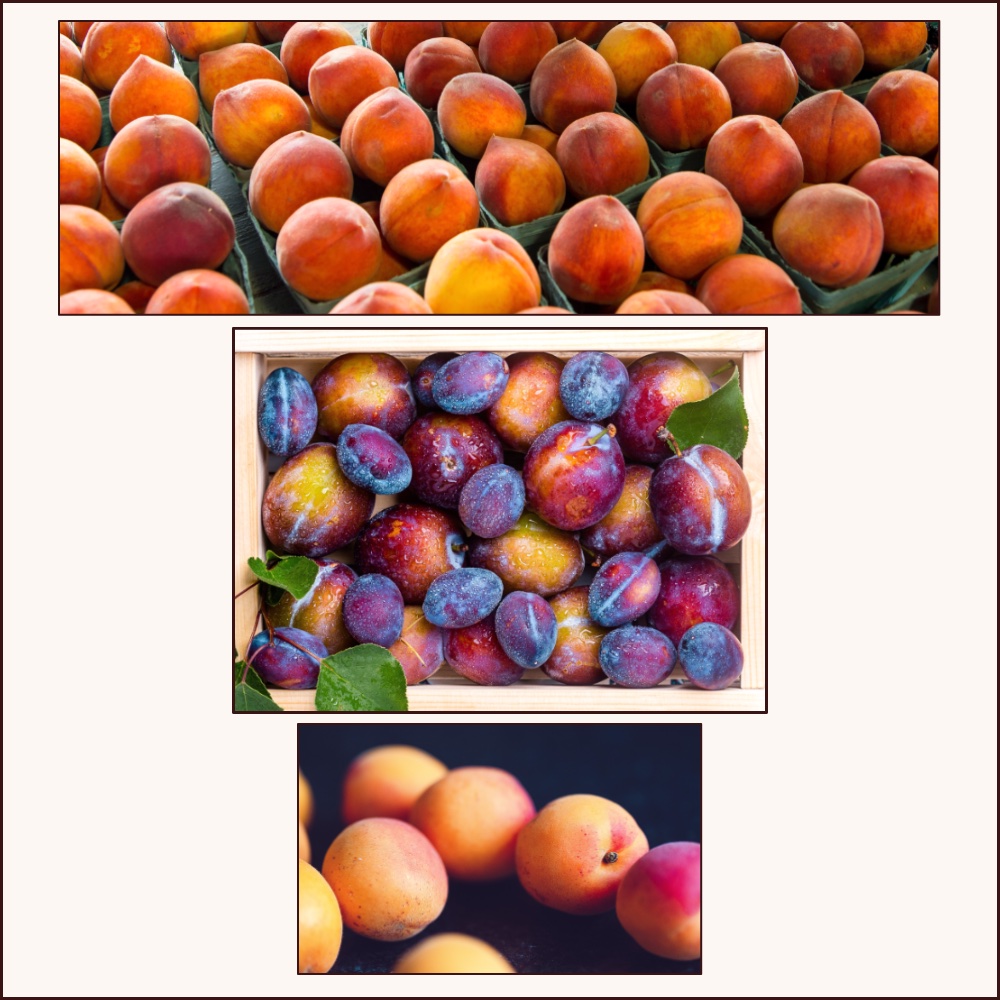 Peaches, plums and apricots!
